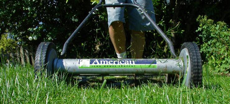 landscaping on a budget